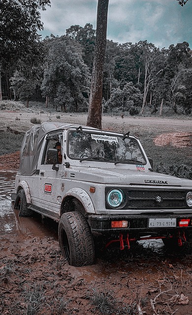 了一场激烈 了一场激烈