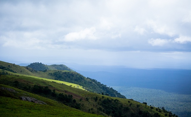 进攻质量的 进攻质量的