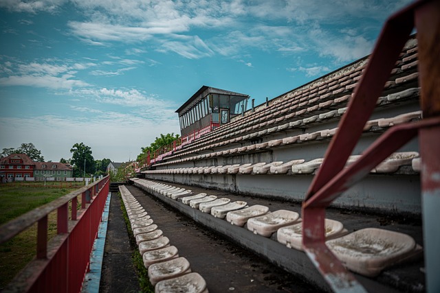 美麗的運動 美麗的運動