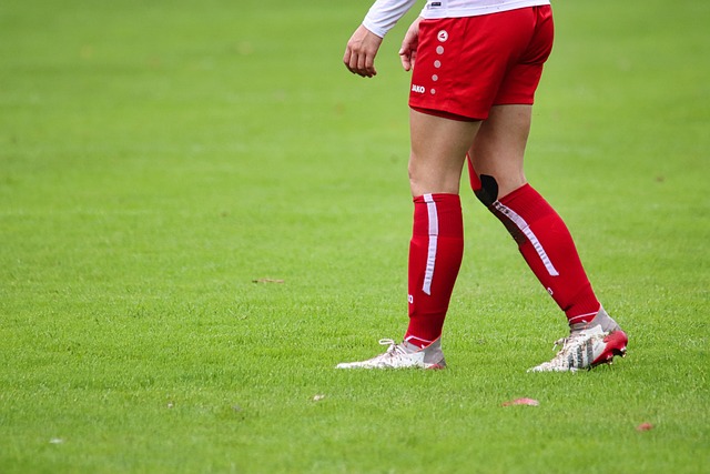 鸡袭击滑雪 鸡袭击滑雪