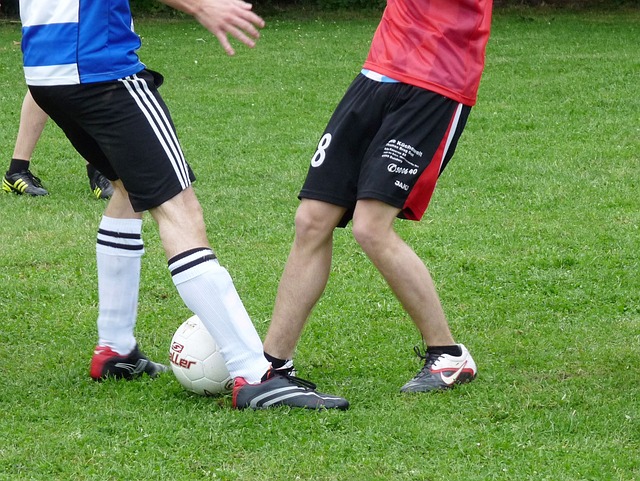 众多品牌合 众多品牌合