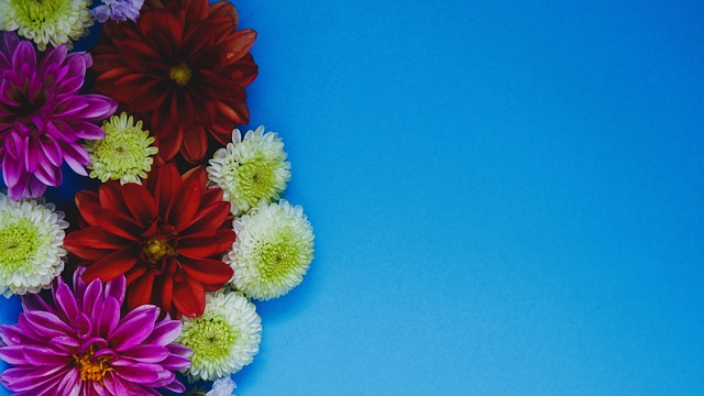 更令人津津 更令人津津