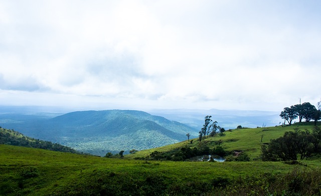 拳击运动留 拳击运动留