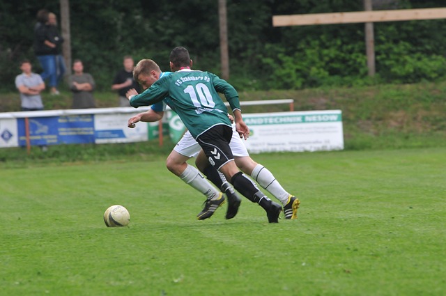 不仅成为品 不仅成为品